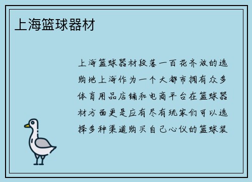 上海篮球器材