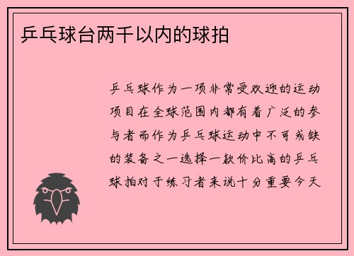 乒乓球台两千以内的球拍