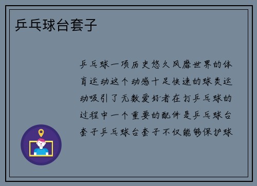 乒乓球台套子