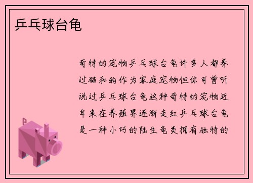 乒乓球台龟