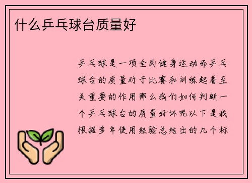 什么乒乓球台质量好