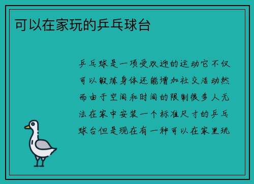 可以在家玩的乒乓球台