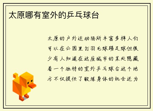 太原哪有室外的乒乓球台